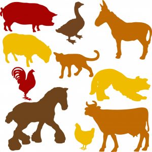 連想から無限のアイデアを生む「エクスカーション」にチャレンジ！